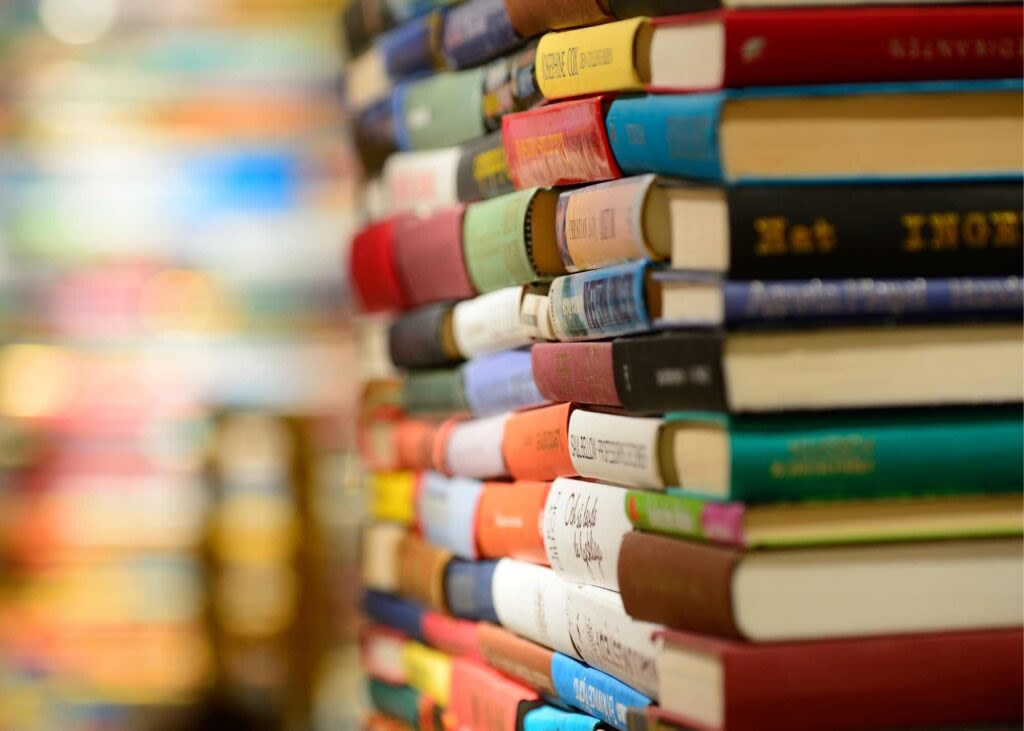 Louisiana House committee shelves bills targeting libraries