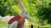 ‘Alice in Wonderland’-themed exhibit to open at New York Botanical Garden