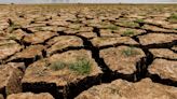 From northwest to east China, parched regions face drought