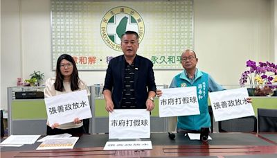 綠批張善政打假球真放水：不用緊咬推薦函 - 政治