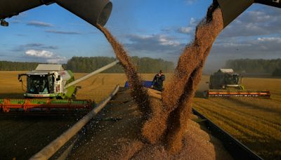 Russia, India set to spark major swing in global wheat balance