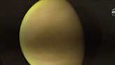 Una nueva detección de dos gases en Venus podrían indicar vida en el planeta, según los científicos