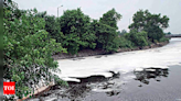 'No waste dumping in Hindon river' | Noida News - Times of India
