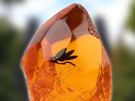 Jurassic Park’s DNA storage becomes a reality thanks to Amber breakthrough - Dexerto