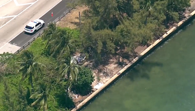 Investigation underway after police recover body found floating in Miami - WSVN 7News | Miami News, Weather, Sports | Fort Lauderdale