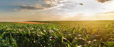 Agriculture ETFs Harvesting Big Gains in 2024