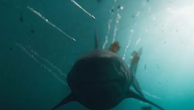 Netflix fans say new film is one of the 'most terrifying shark movies'