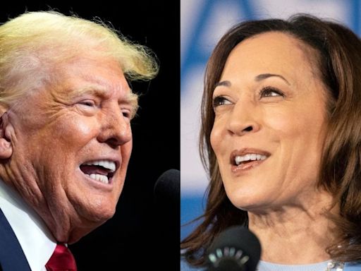 Trump vs. Harris latest polls: Who’s winning as the race tightens?