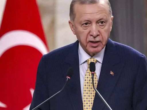 Turkey's Erdogan says 'no benefit' in resuming UN-led Cyprus talks - Times of India
