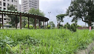 桃建商建公園管委會卻不接手 「黑牌公園」沒人管影響觀感 - 生活