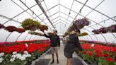 Business Profile: Chenier’s Greenhouse continues to grow, improve