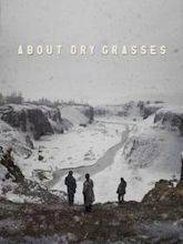 About Dry Grasses