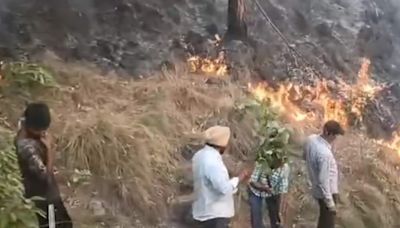 Fire breaks out in Jammu and Kashmir's Ramnagar forest division