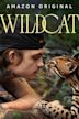 Wildcat (2022 film)