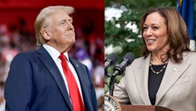 'Is she Indian or Black?' Trump questions Kamala Harris' racial identity