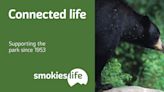 Word from the Smokies: Longtime park partner rebrands as ‘Smokies Life’