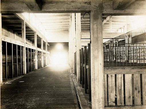 Ghosts haunt Fort Worth Stockyards at night, some say. Now you can help hunt them down.