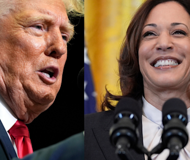 'Radical left lunatic ...': Donald Trump targets Kamala Harris at first rally since Biden's exit from 2024 race - Times of India