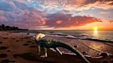 Ancient Predator Unearthed in Nevada Rewrites Triassic Coastal Life Story