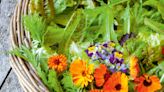 Grow your own garden - Sarah Raven lets us in on her top tips