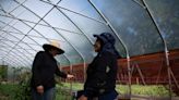 Meet Proyecto, a Fort Collins-area farm project giving immigrant women skills, confidence