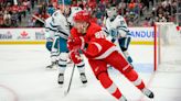 Limited salary cap space will force Red Wings to make tough decisions
