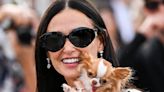 Pilaf, Demi Moore's tiny Chihuahua, was 'moved' by Tom Holland's performance in “Romeo & Juliet”