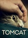 Tomcat (2016 film)