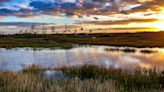 The Ultimate Everglades National Park Travel Guide