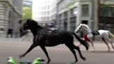 Multiple people injured after British Army horses escaped, ran loose through central London