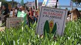 La polémica plantación de pistachos de Madrid: Ayuso tramita varias multas y el Gobierno sanciona al Ayuntamiento que le permite regar