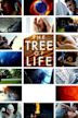 The Tree of Life (film)