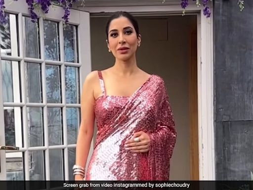 Sophie Choudry Literally Glitters Away In A Sparkling Gradient Pink Manish Malhotra Saree