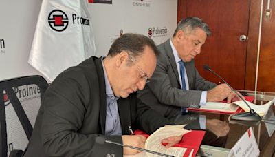 ProInversión evaluará construcción de puertos en la región sur del Perú