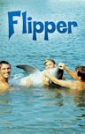 Flipper