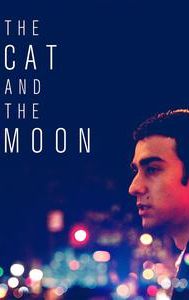 The cat and the moon