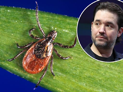 Alexis Ohanian has Lyme disease — everything you need to know about the serious illness