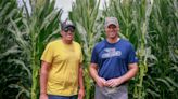 'These guys are magicians': Meet the brothers behind the corn at the 'Field of Dreams' site