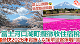 日本富士河口湖町擬向遊客徵收住宿稅！最快2026年實施！以緩解遊客爆增問題！ | HolidaySmart 假期日常