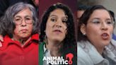 AMLO propone a Bertha Alcalde, Lenia Batres y María Estela Ríos en terna para ministra de la Corte