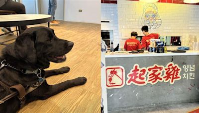 帶導盲犬入店用餐被拒！她驚「竟在台北市發生」 起家雞認錯道歉了