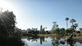 8 people at La Brea Tar Pits hospitalized after contact with mysterious substance