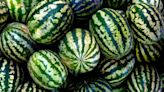 Why You Should Always Check Your Watermelon for Cracks in the Rind