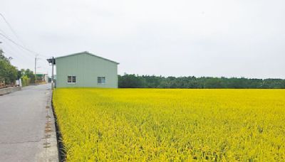 國土計畫法設檢舉獎金 卓揆認應檢討 - 生活新聞