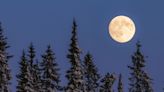 When Is the Next Full Moon? See Our Handy 2024 Full Moon Calendar