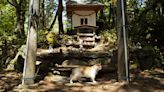 Shrine at a Japanese island honors cats where they outnumber humans