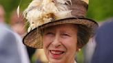 Princess Anne returns home from hospital after suffering concussion in horse 'incident'