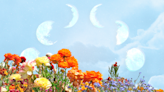 These 4 Zodiac Signs Will Feel the Full Flower Moon in Sagittarius the Most