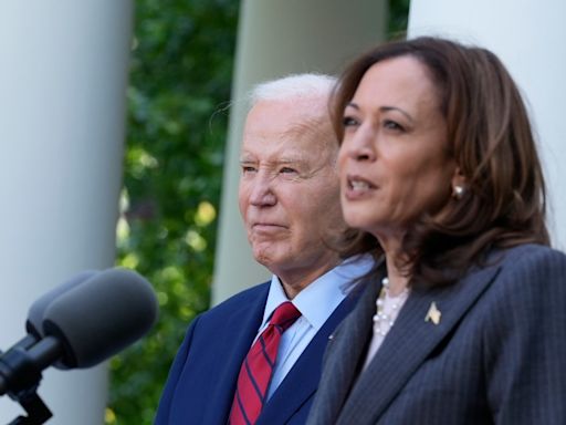 U.S. Democrats promise an 'orderly process' to replace Biden. Harris is favoured, but questions remain