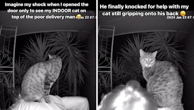 Cat owner opens door to food delivery driver, in "shock" over what she sees